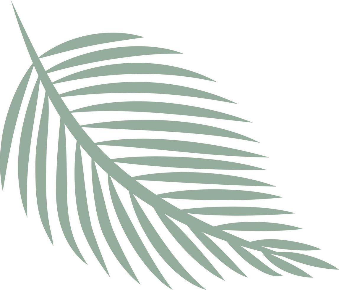 Tropical Leaves individual florals elements vector