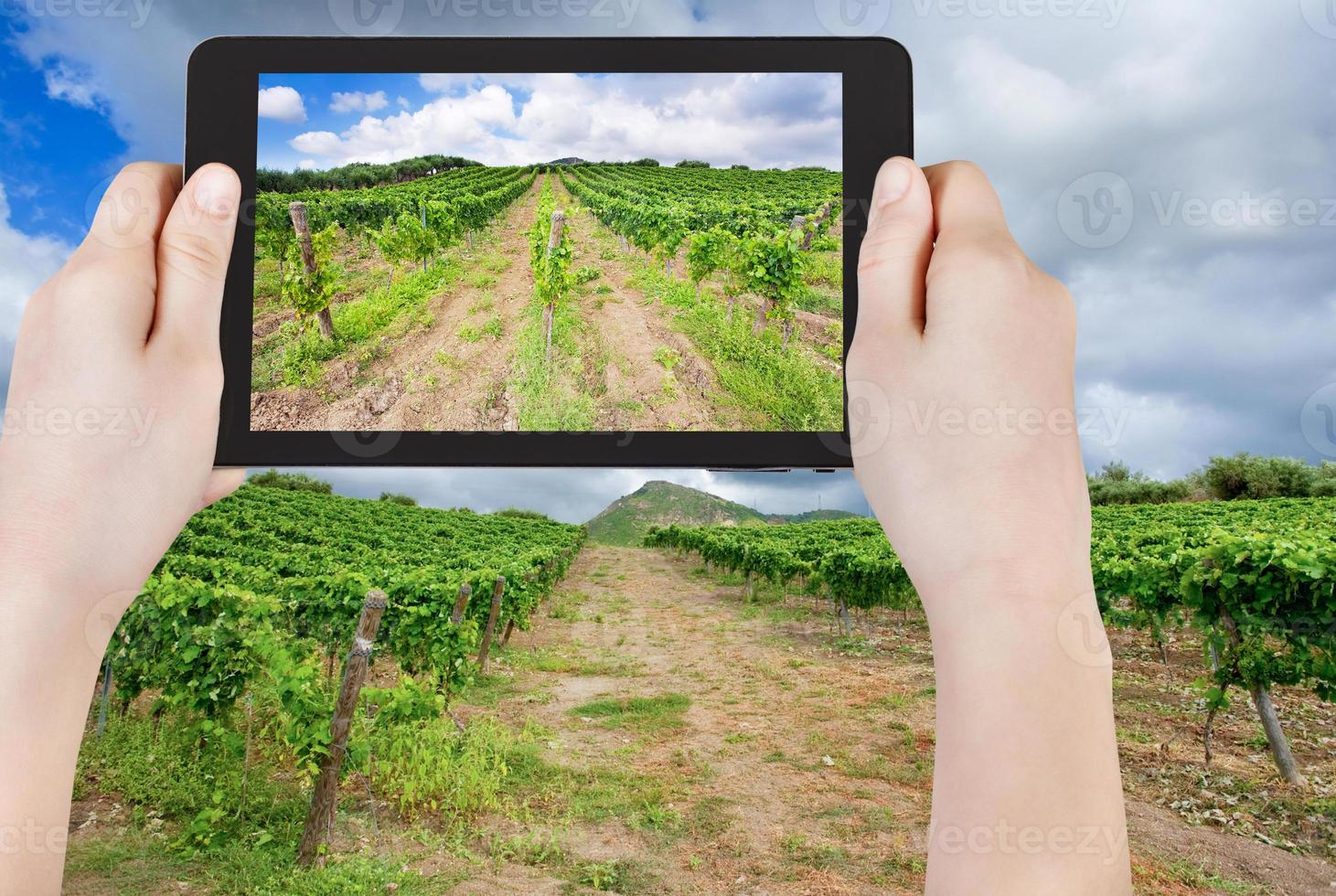 tourist taking photo of vineyard under clouds