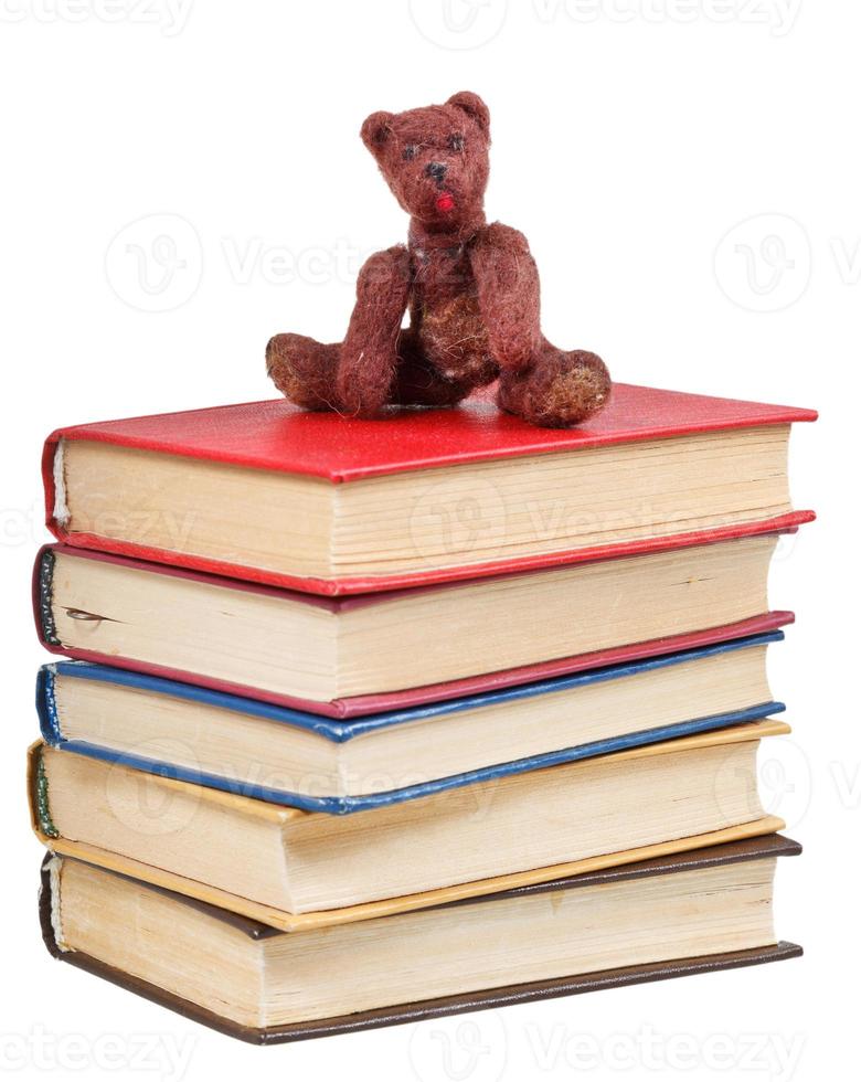 felt soft toy bear sits on books photo