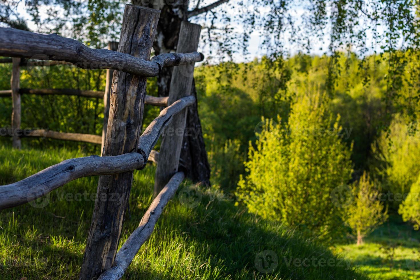 rustic view with log fence and selective focus photo