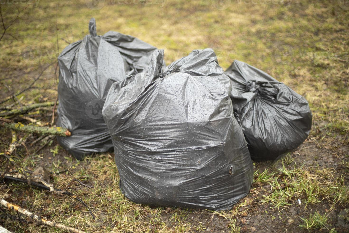 Bags of garbage on street. Black bags. Cleaning in yard. 12612258 Stock