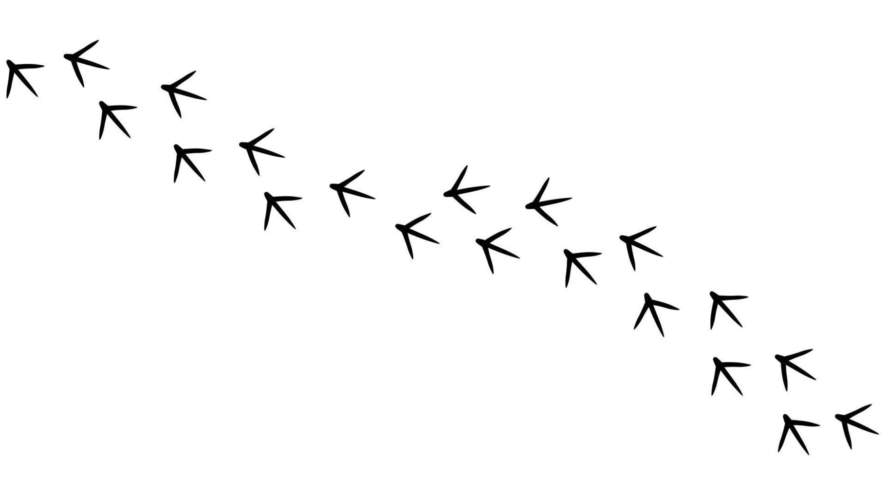 chicken footprint road vector