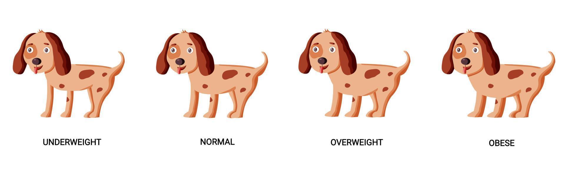 Dog body condition vector