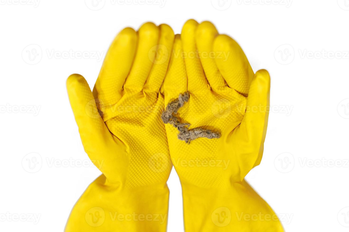 Hands in rubber gloves hold dust balls, isolated, close up. photo