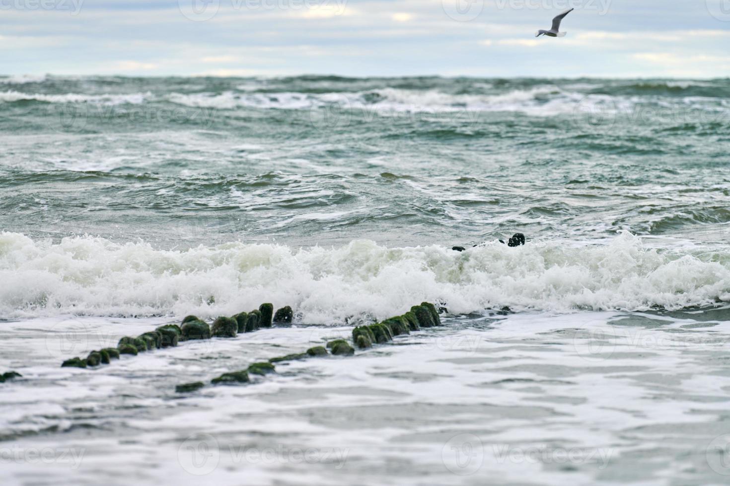 View of blue sea with foaming waves and wooden breakwaters photo