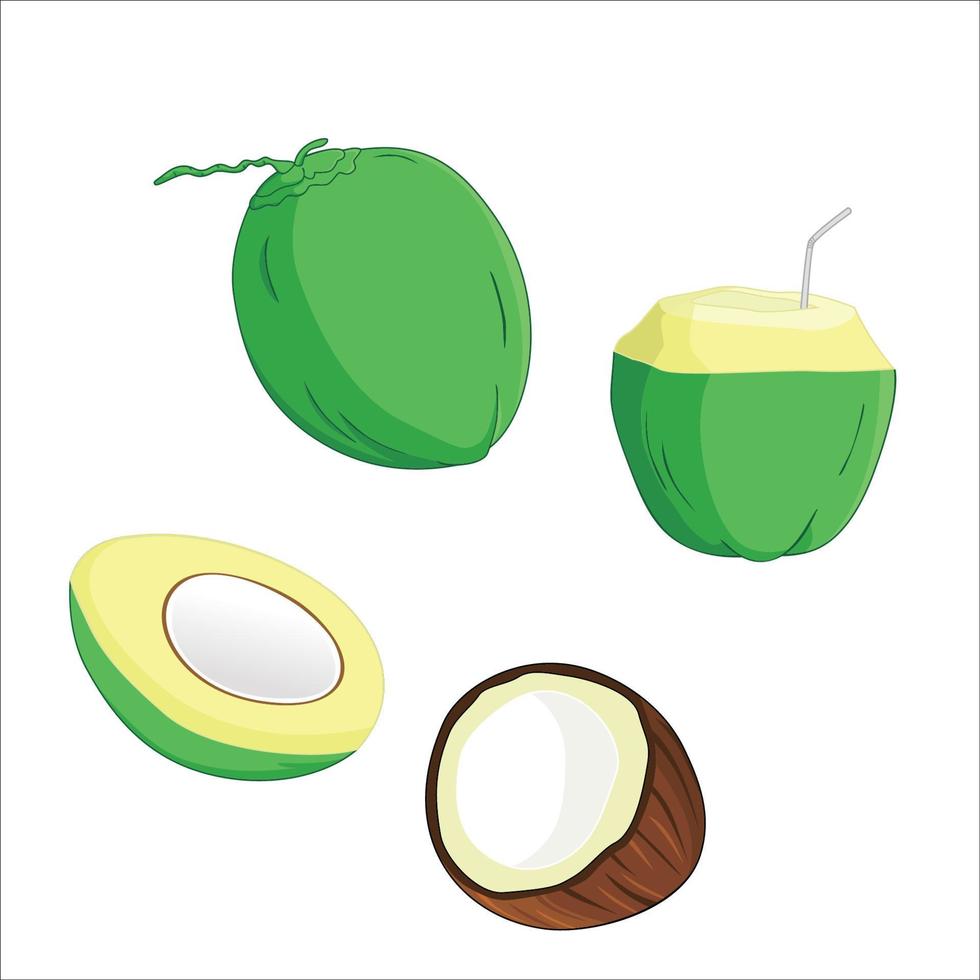 set of coconut design illustration. tropical fruit sign and symbol. fresh sweet drink. vector