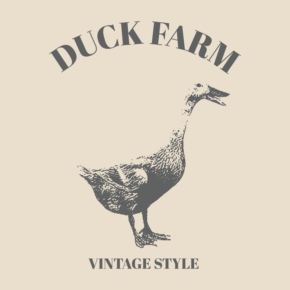 Logo Vintage Duck Firm. Hand Drawn. Cross Hatching Duck. Retro Vintage Hand Drawing Vector Illustration Logo Bird, mallard, farm animal sketch. Template Design