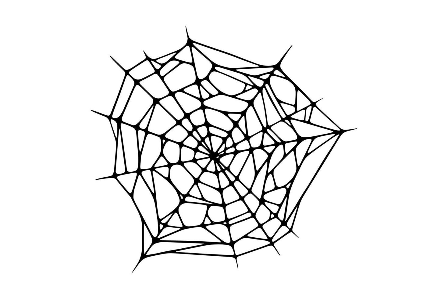 Spider web isolated on white background. Spooky Halloween cobweb. Vector illustration