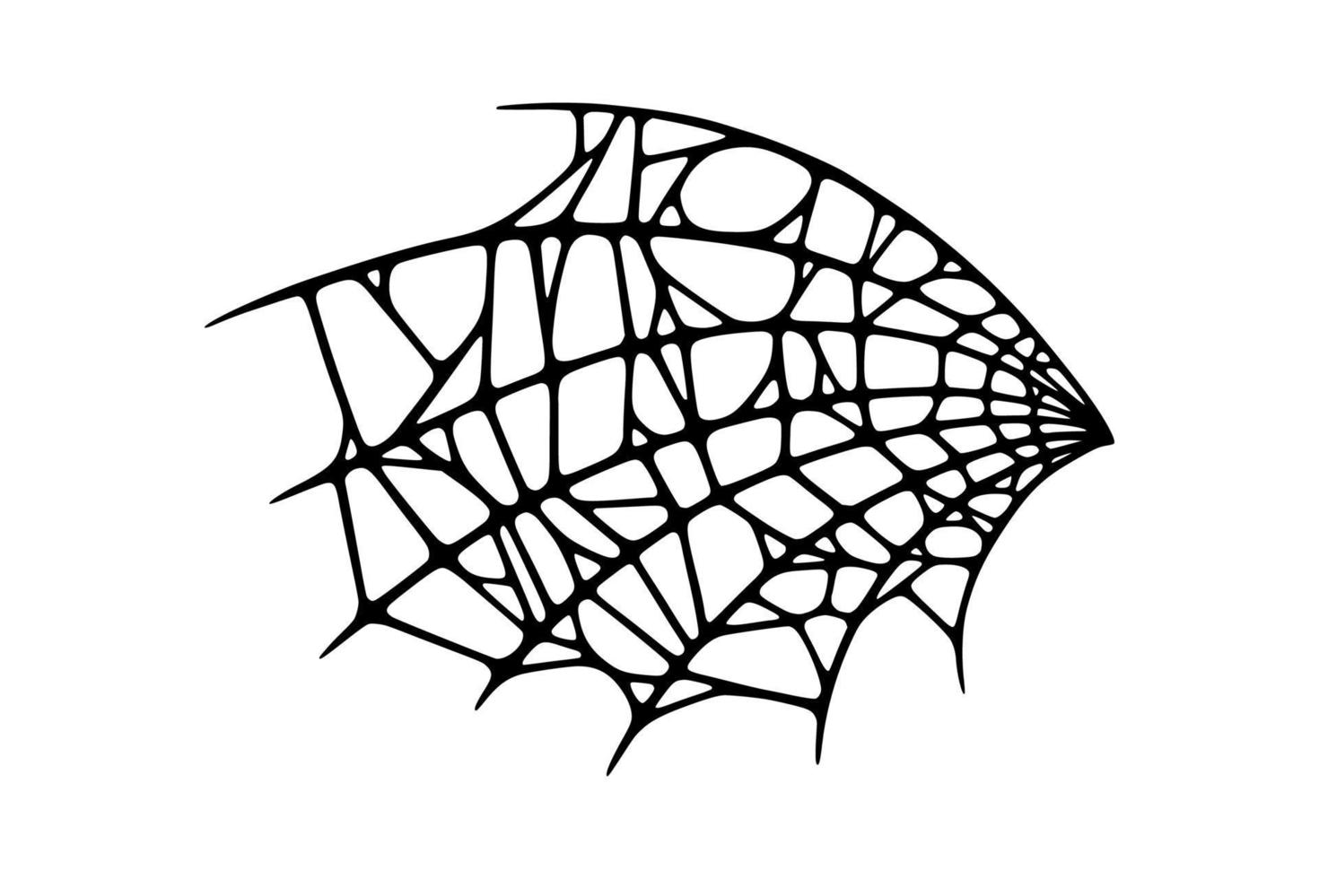 Spider web isolated on white background. Spooky Halloween cobweb. Vector illustration