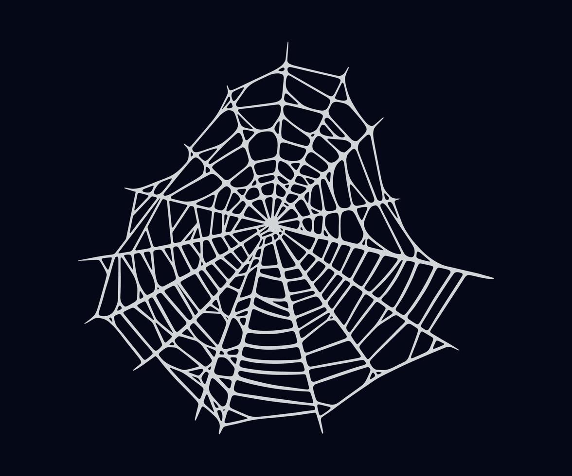 Spider web isolated on black background. Spooky Halloween cobweb. Vector illustration