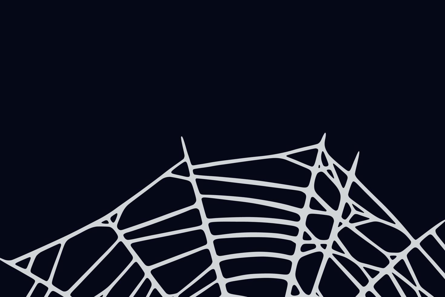 Spider web on black background. Spooky Halloween cobweb. Vector illustration