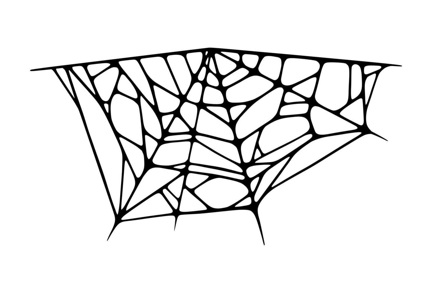 Spider web isolated on white background. Spooky Halloween cobweb. Vector illustration