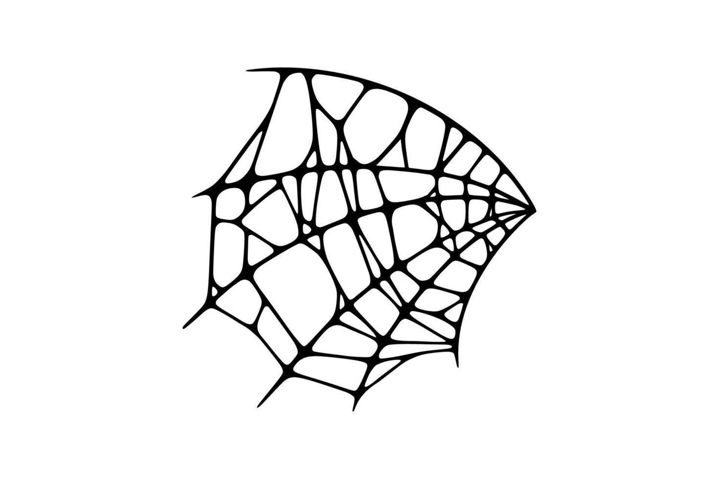 Spider web isolated on white background. Spooky Halloween cobweb. Vector illustration