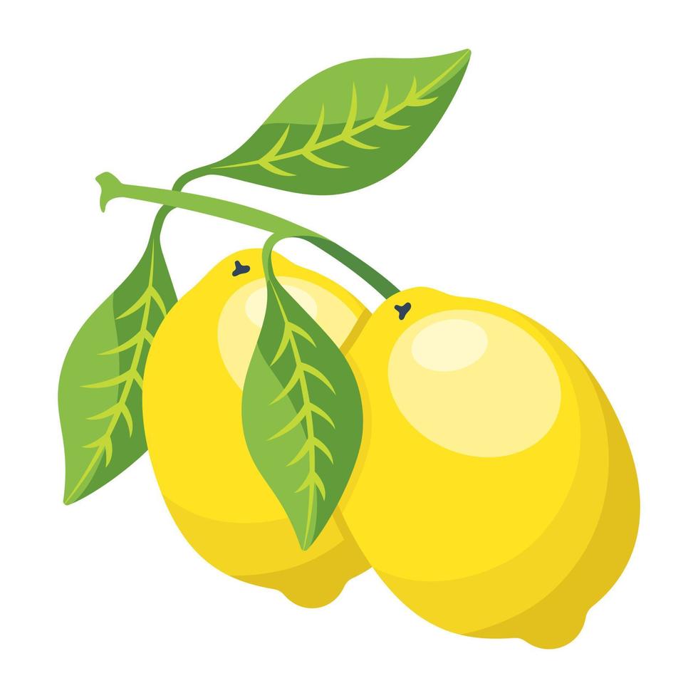 Modern flat illustration of lemon vector