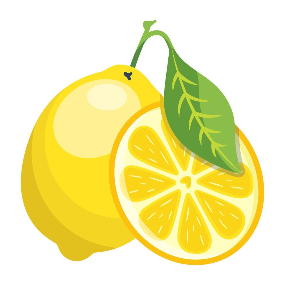 Modern flat illustration of lemon vector