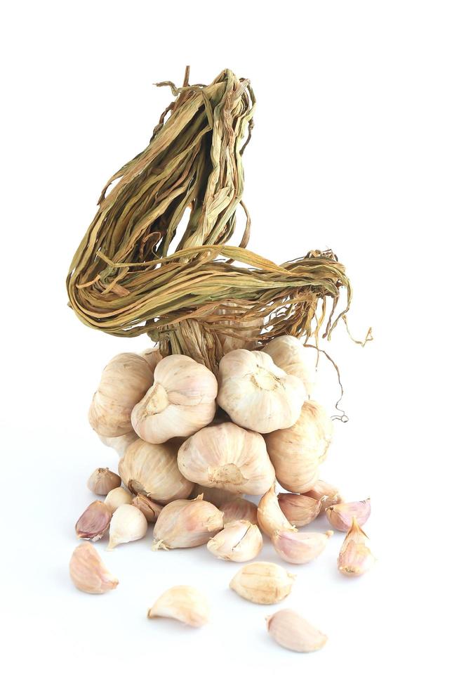 Ripe garlics isolated on a white background photo