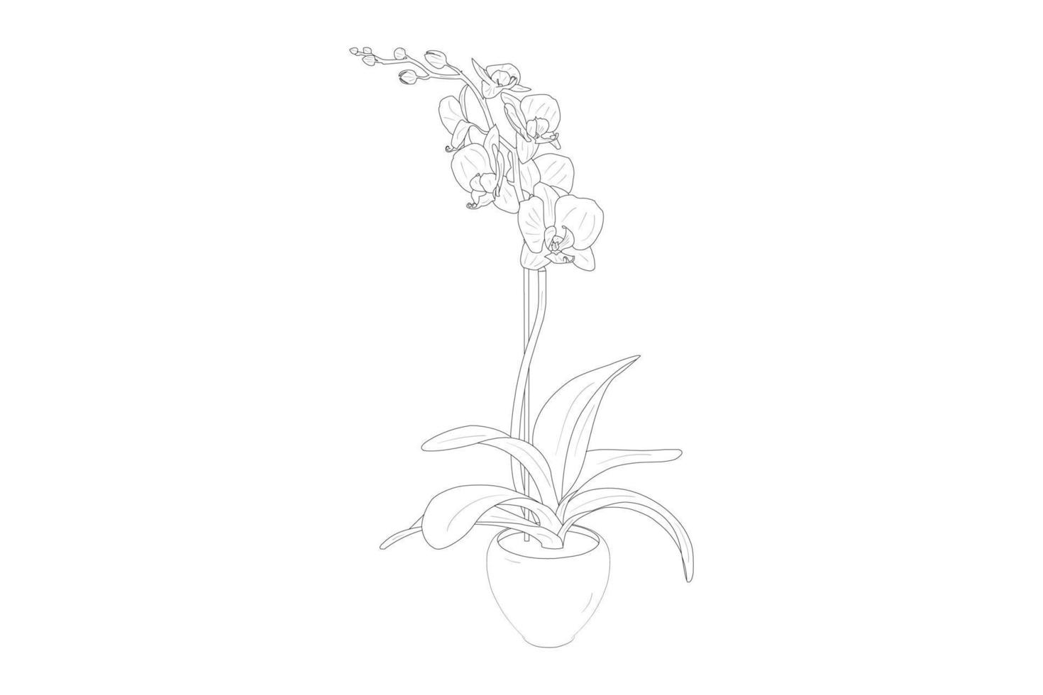 flores de lirio lirio en flor. silueta de flores de lirio aislado sobre fondo blanco. ilustración vectorial vector