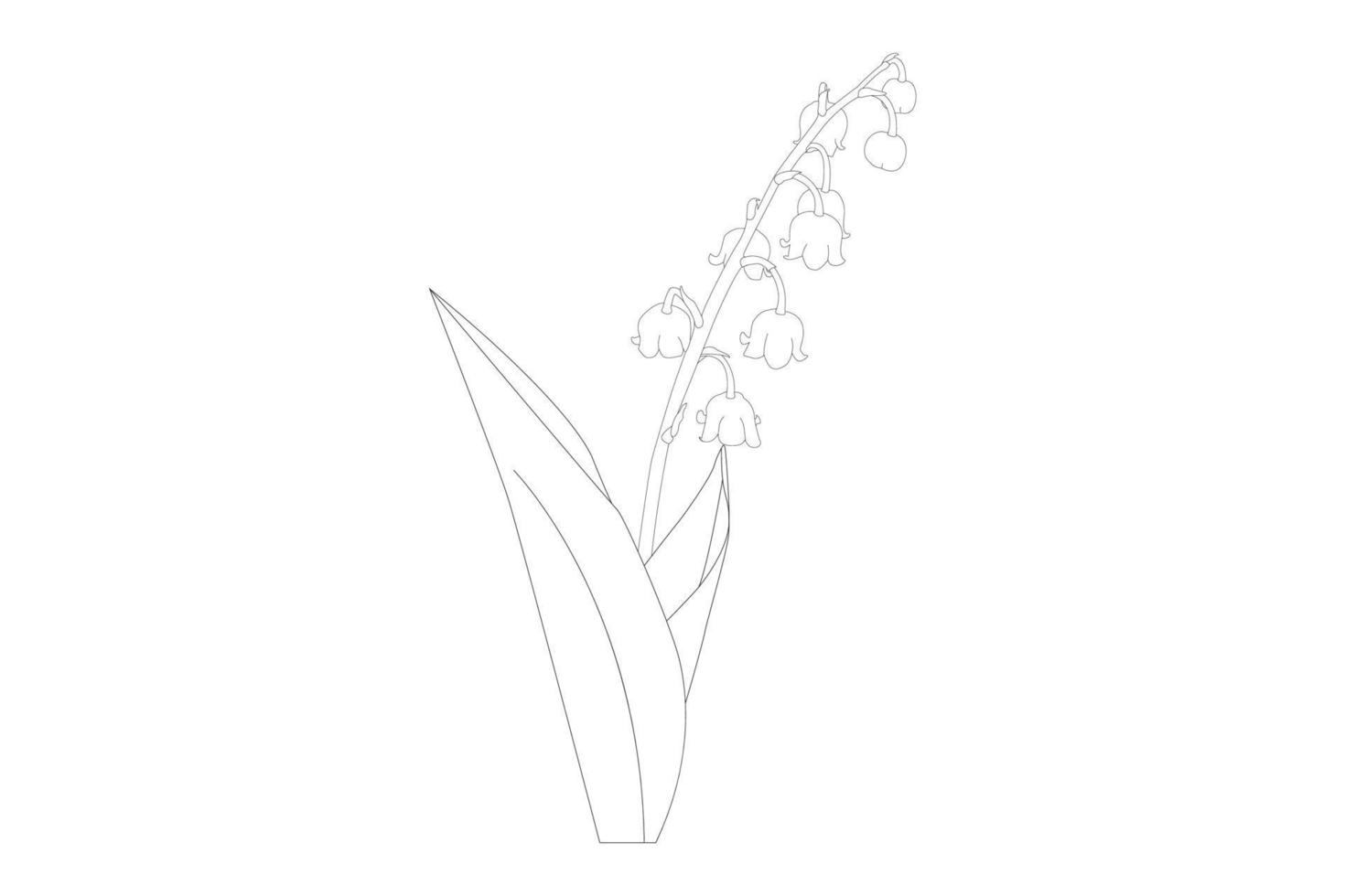 Lily flowers. Blooming lily. Silhouette of lily flowers isolated on white background. Vector illustration.