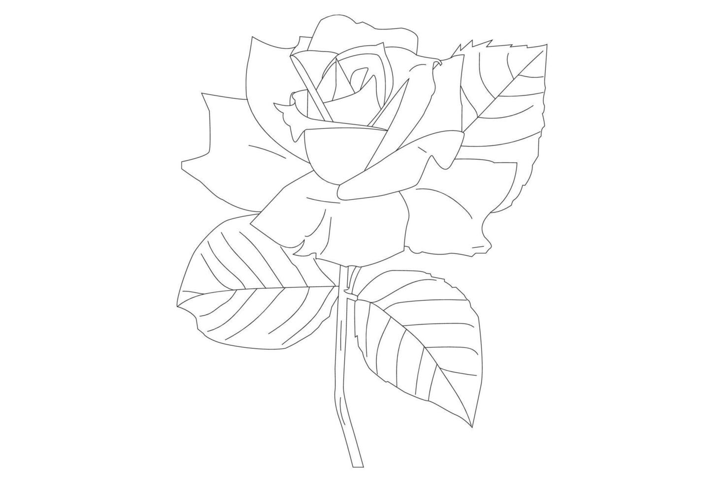 dibujo de flores color de rosa con arte lineal sobre fondos blancos. flores de contorno vectorial. página de color de arte lineal con rosas y hojas vector