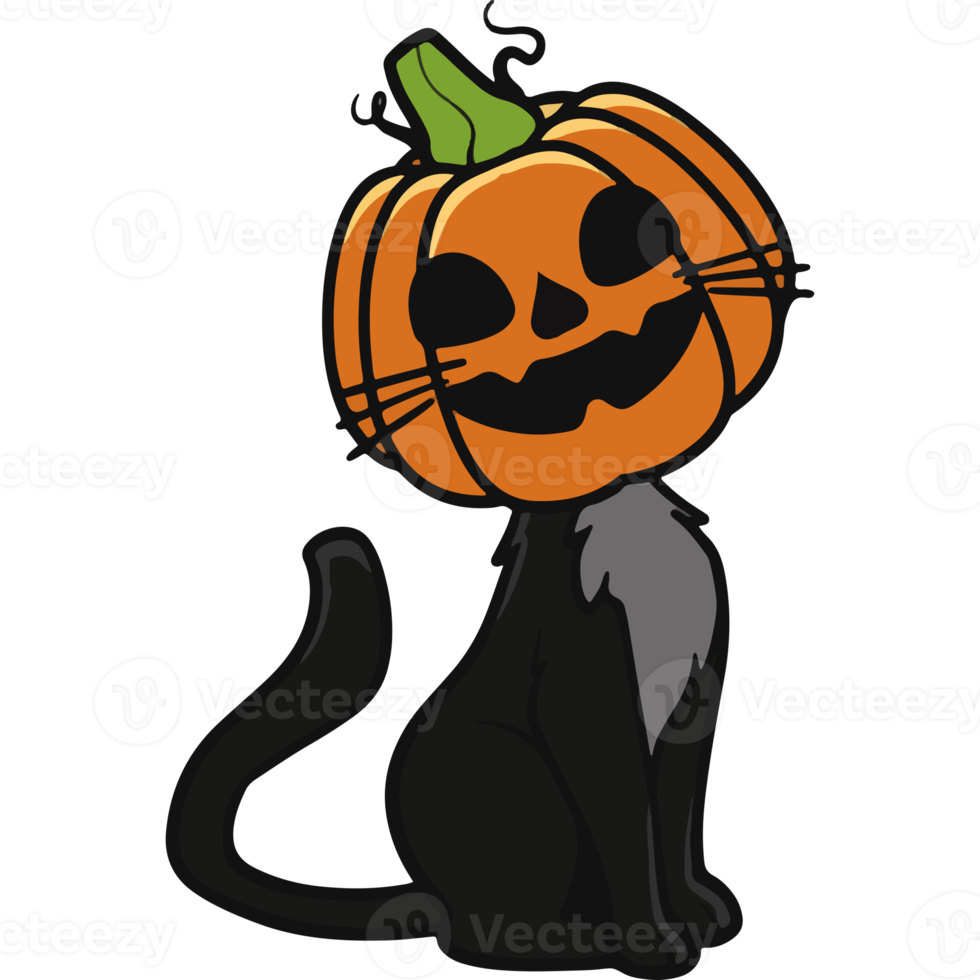 pumpkin cat icon png