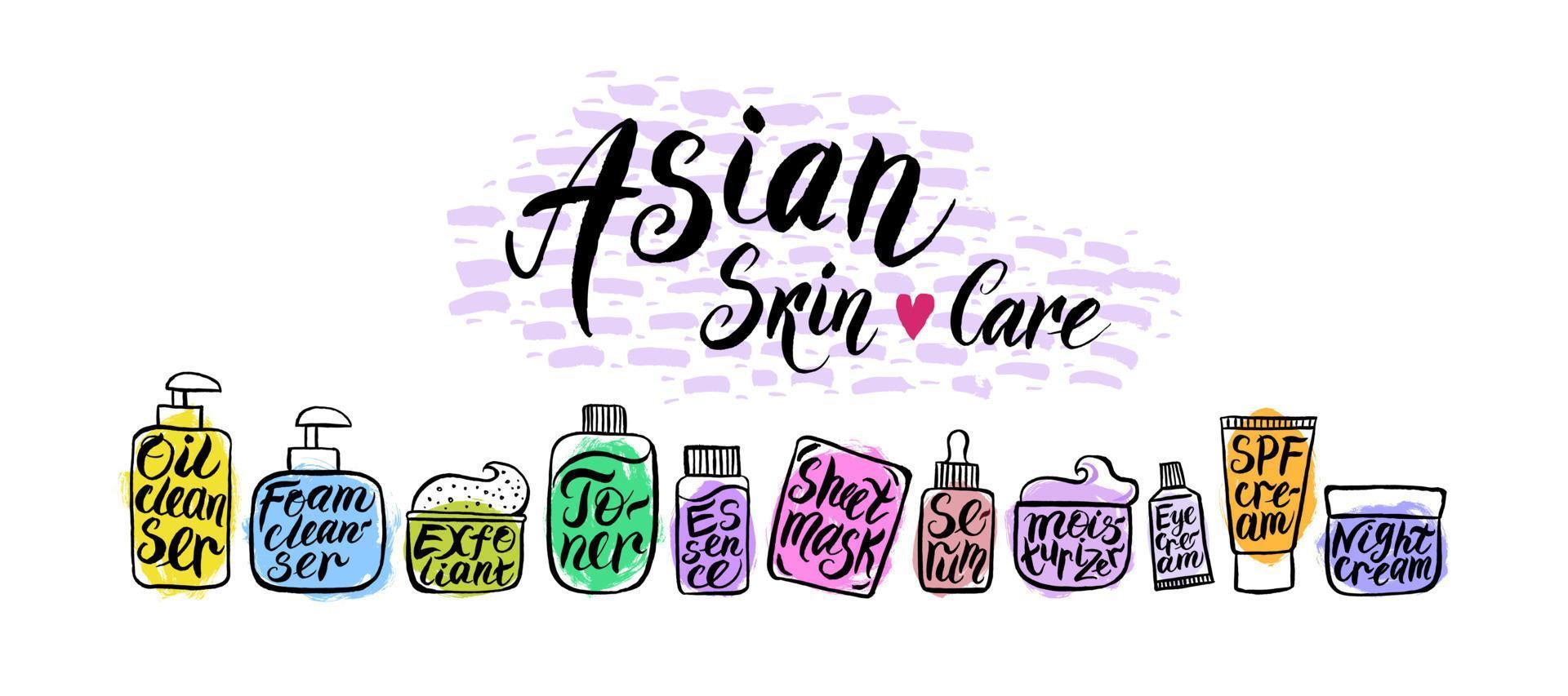 application of Asian skin care products such as - oil cleanser, cleansing foam, exfoliant, toner, essence, sheet mask, serum, moisturizer, eye cream, night cream, night cream, SPF cream. vector