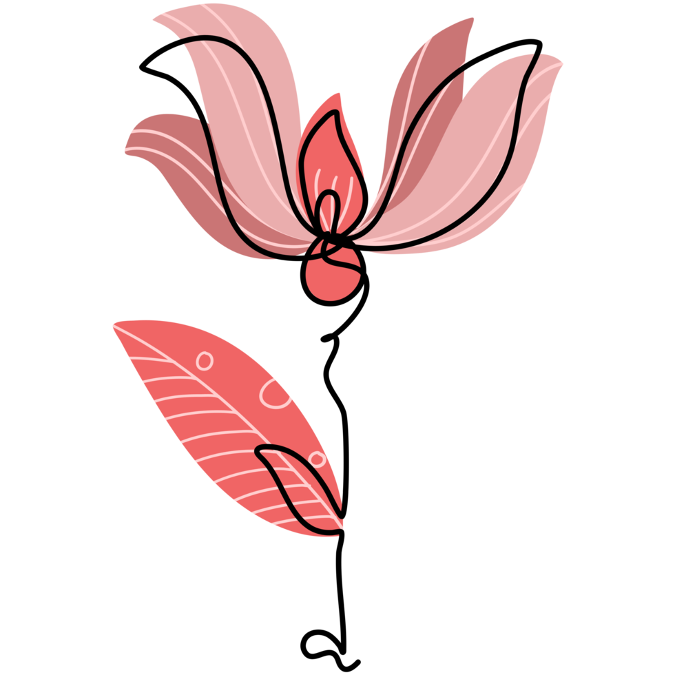 dessin de fleur en une ligne png