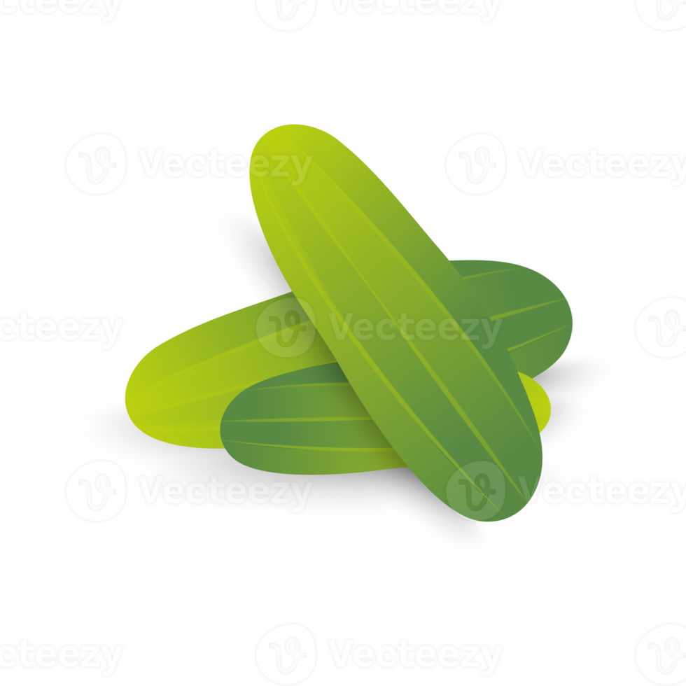 Three realistic green cucumber png