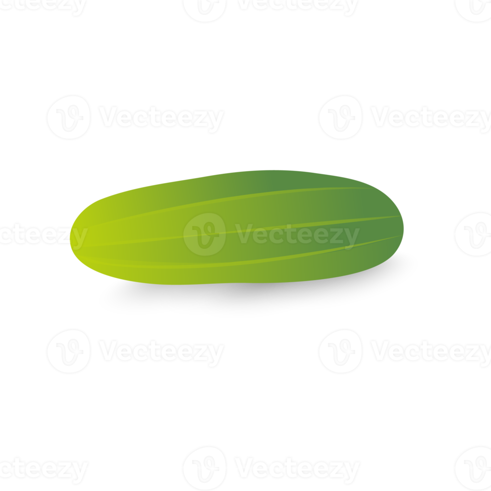 A realistic green cucumber png