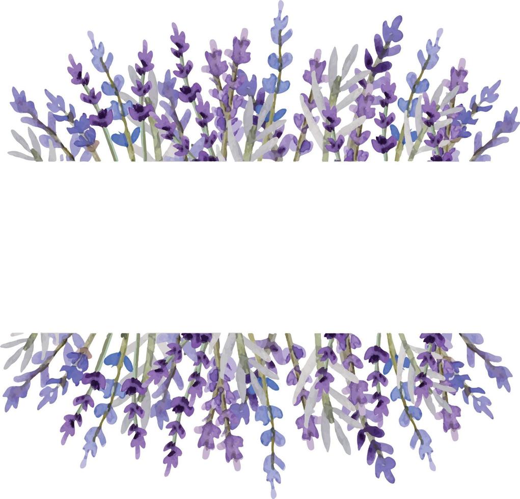 Watercolor lavender frame vector