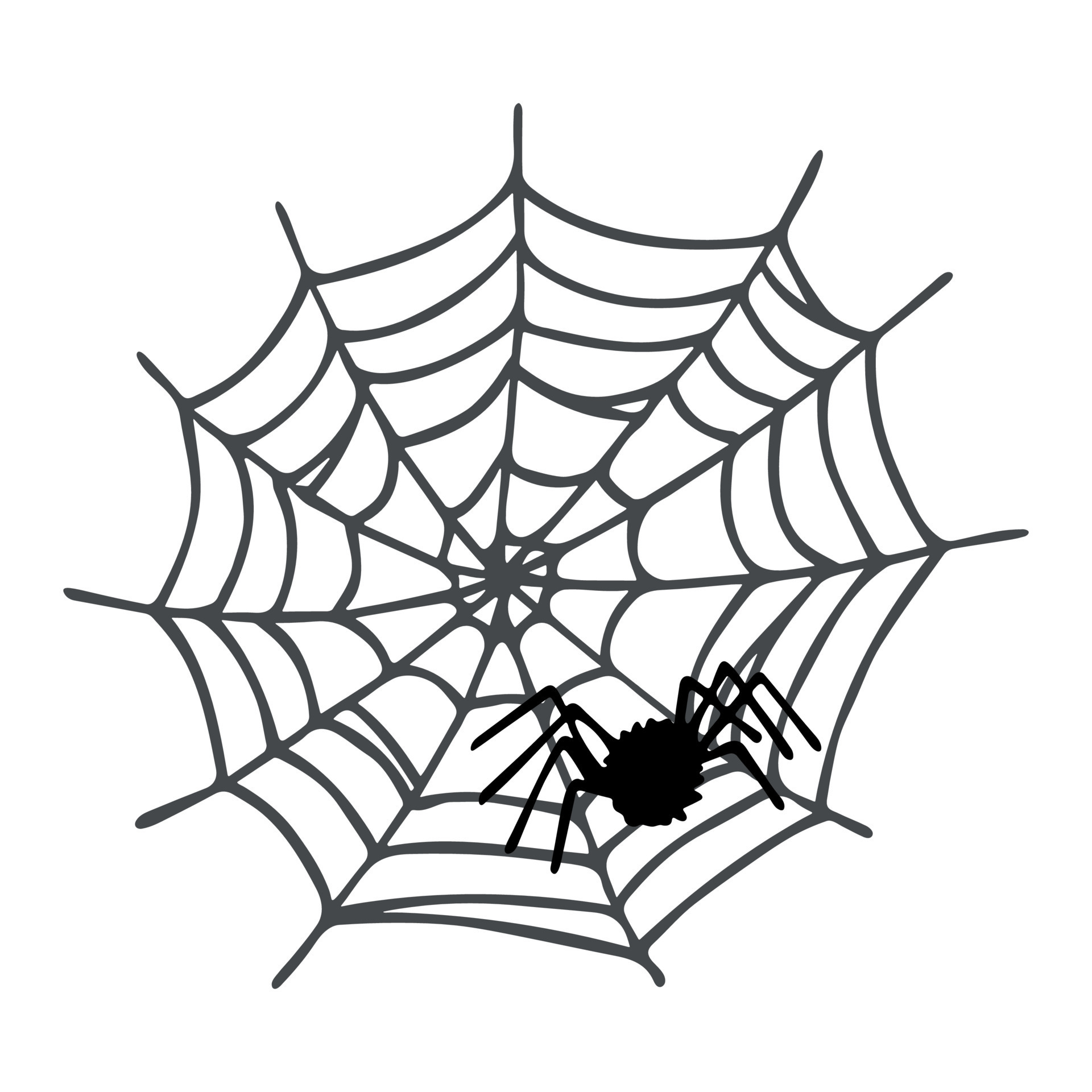 Simple hand drawn spider web illustration. Cute gossamer clipart