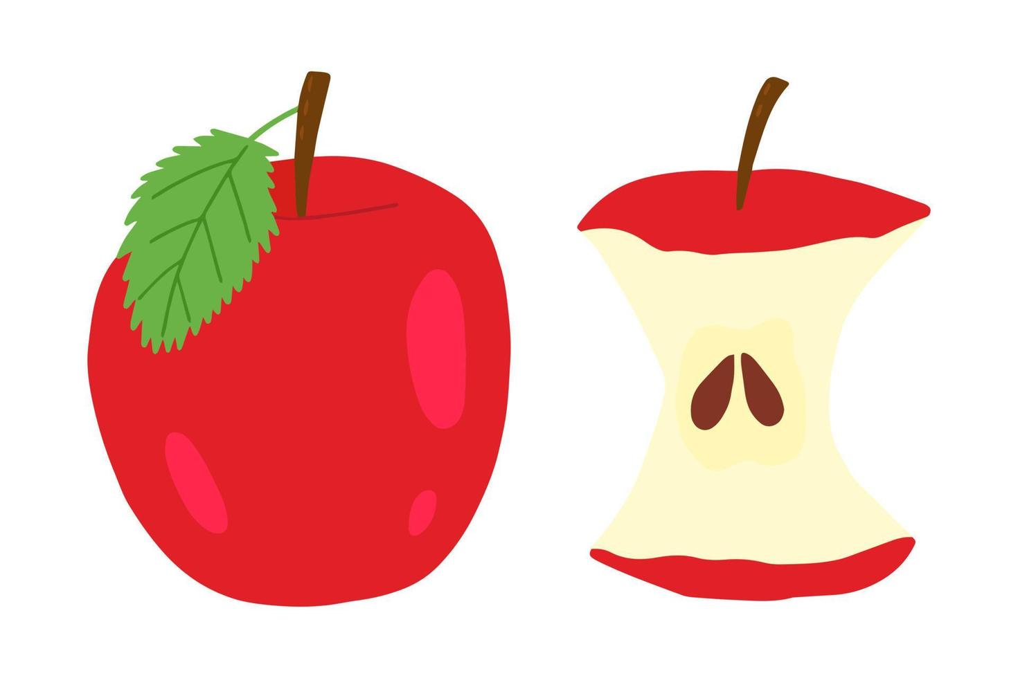 manzana entera y un poco de ilustración vectorial de manzana. conjunto de vectores de manzana roja