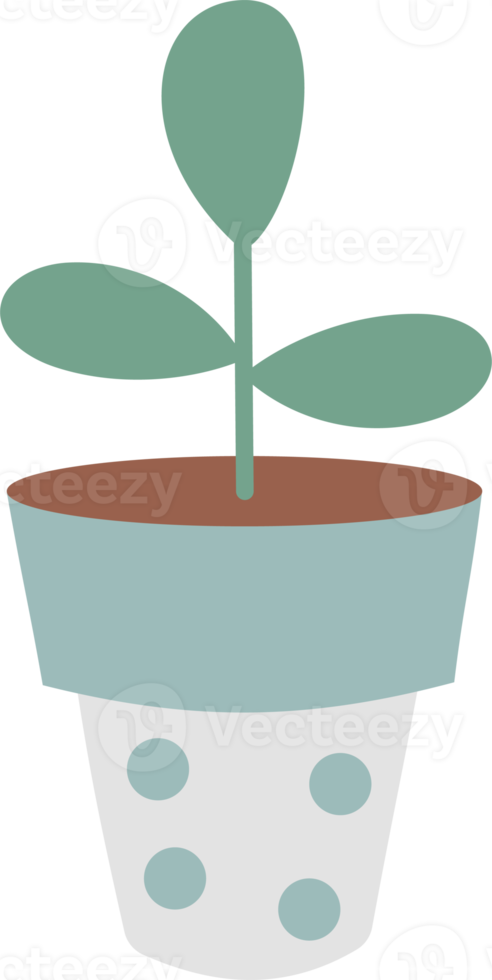 Flowerpot. indoor small plant png