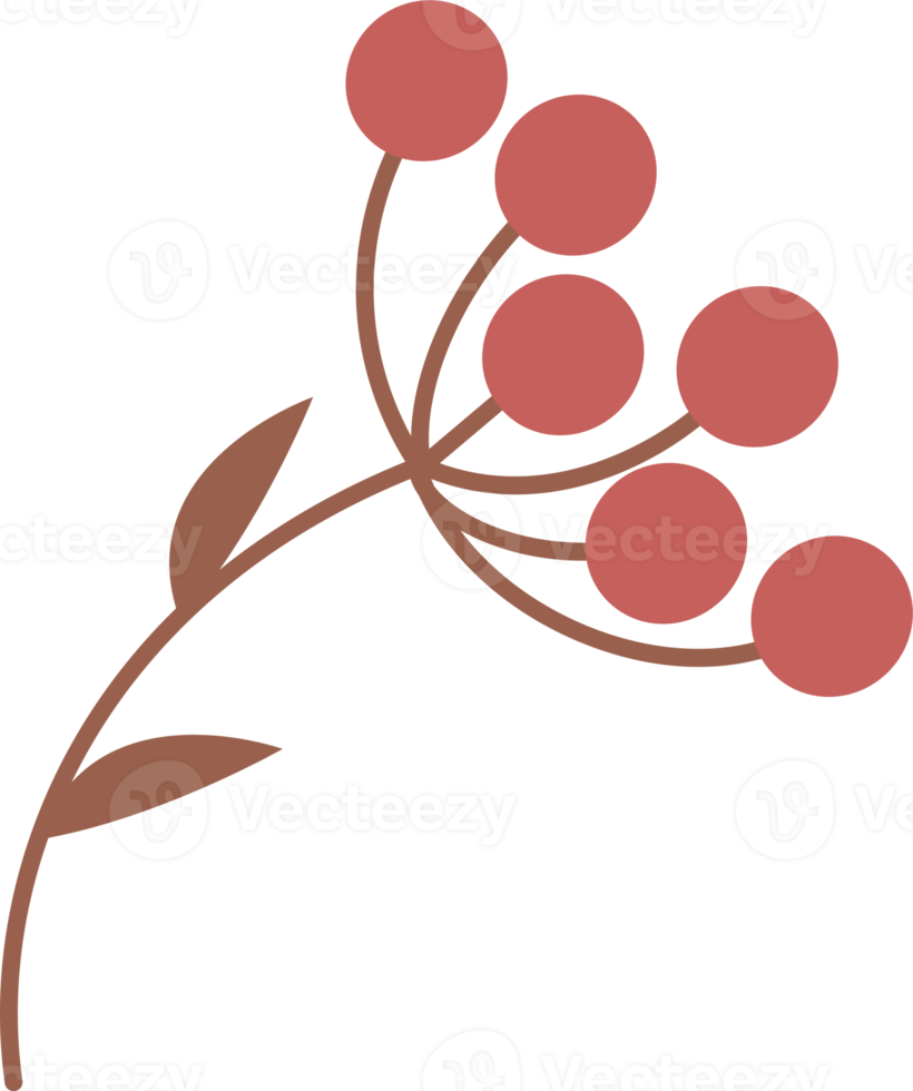 ramo de frutas vermelhas com folhas png