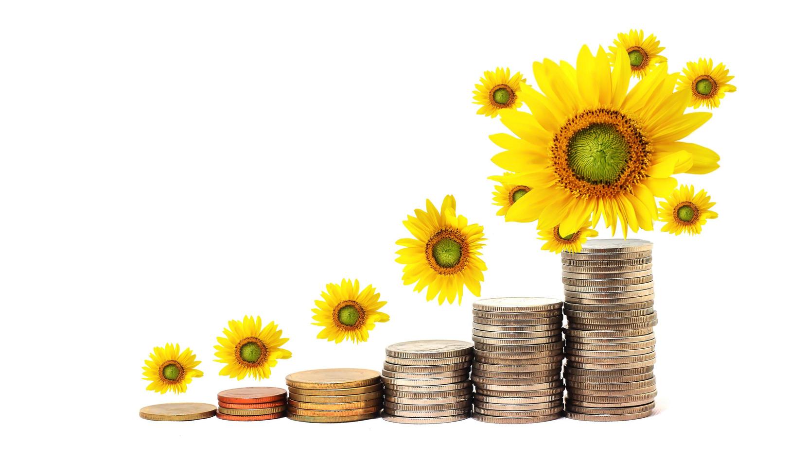 Increase your savings photo