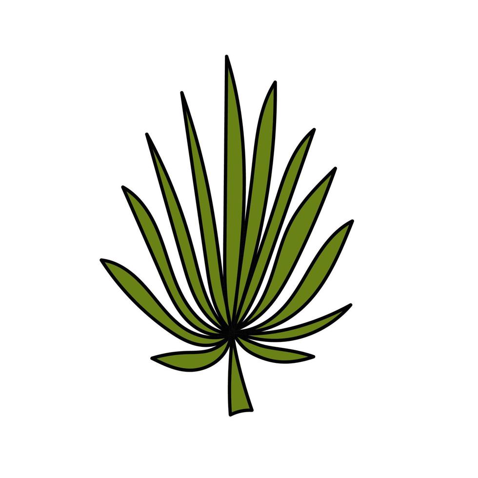 Palm leaf. Tropical plant. Simple illustration. Summer icon vector
