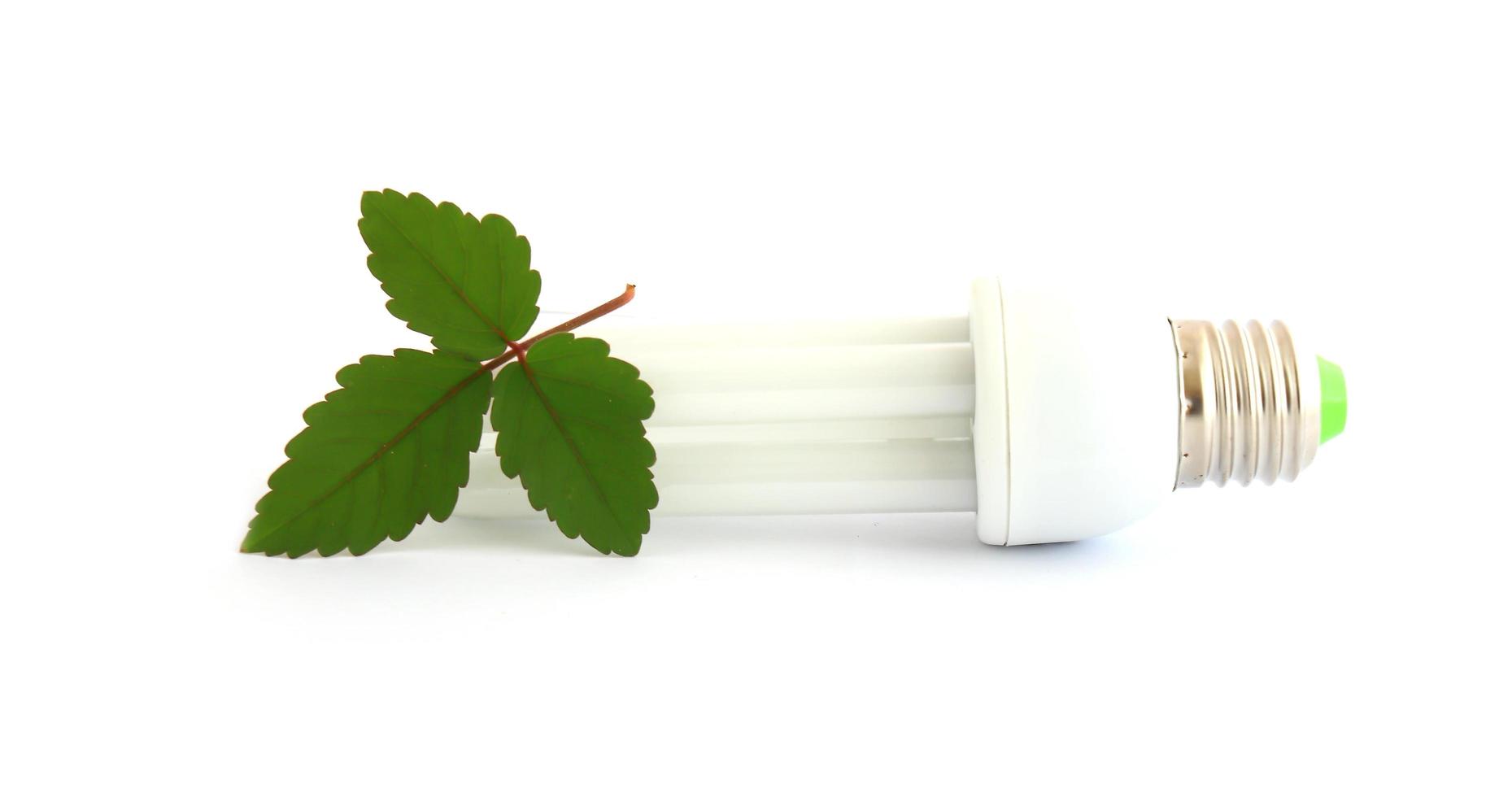 Energy saving lamp with green leaf on white photo