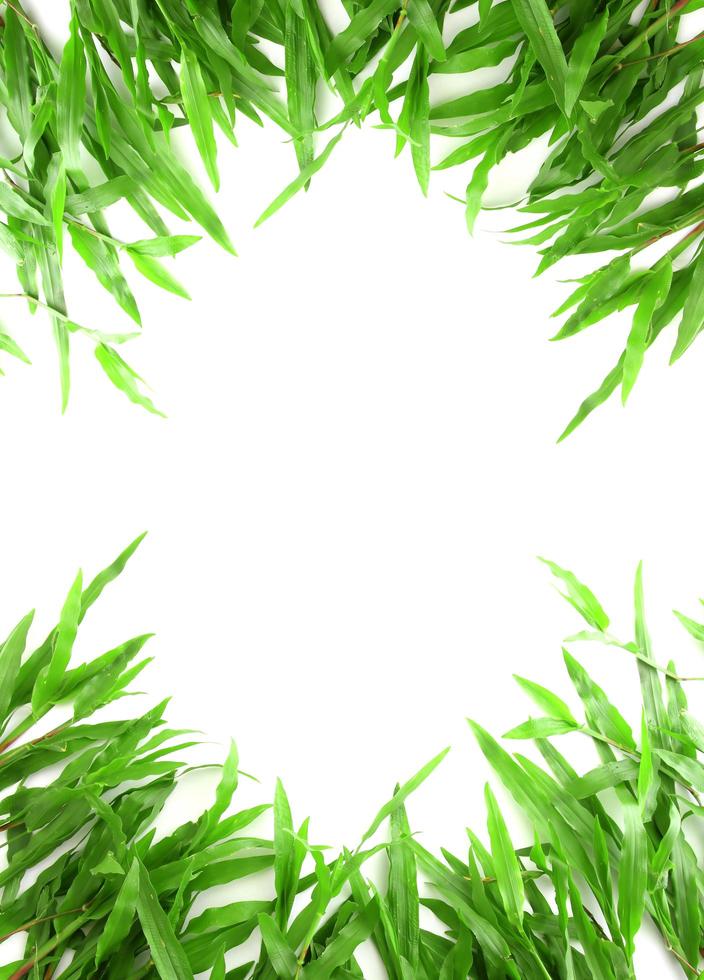 Grass frame with space for text photo