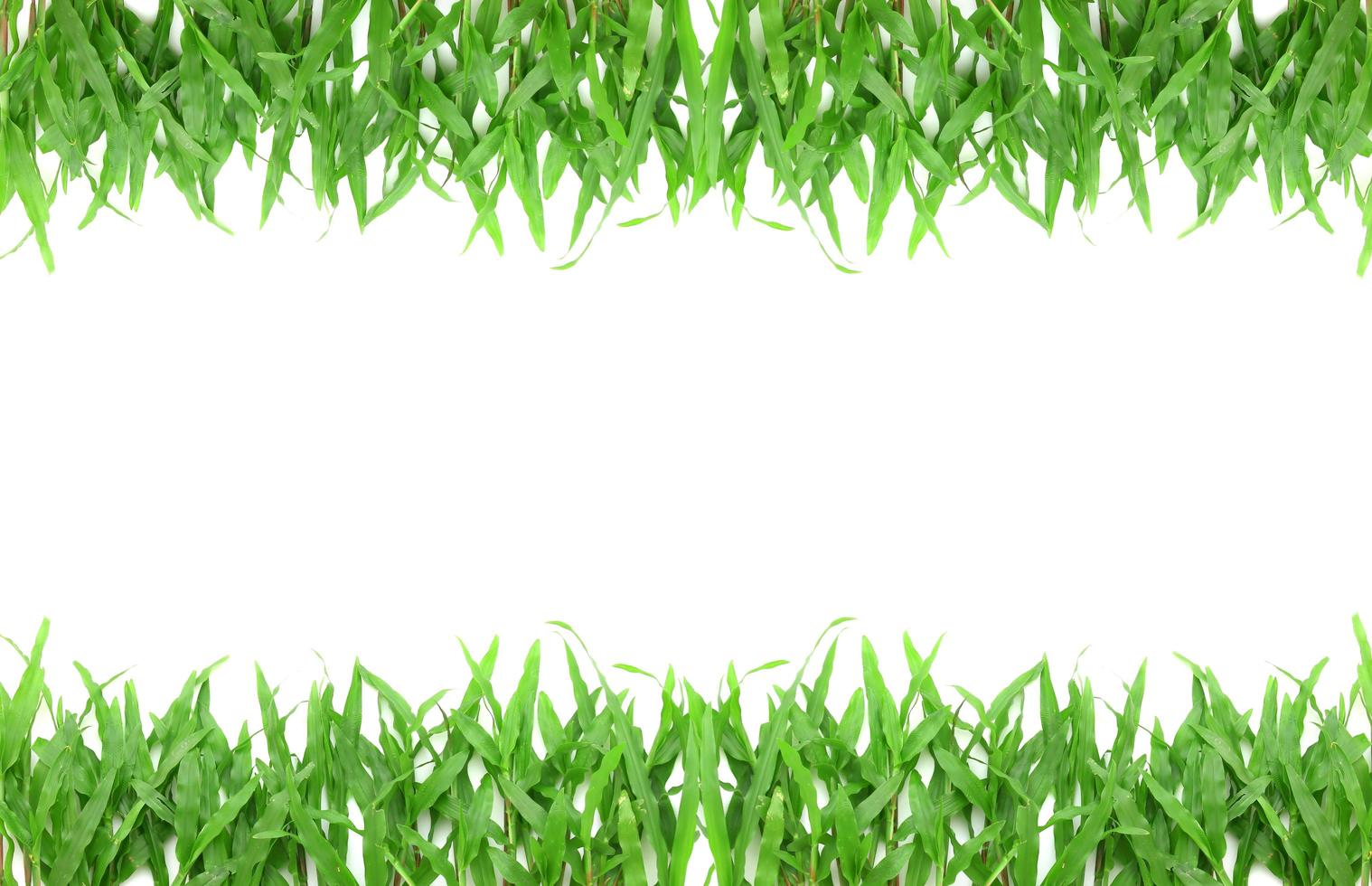 Grass frame with space for text photo