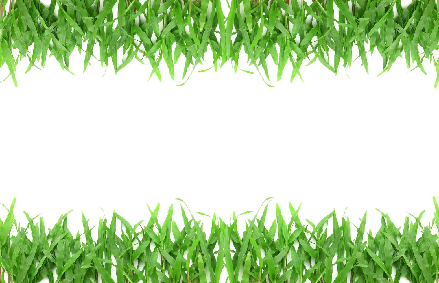 Grass frame with space for text photo