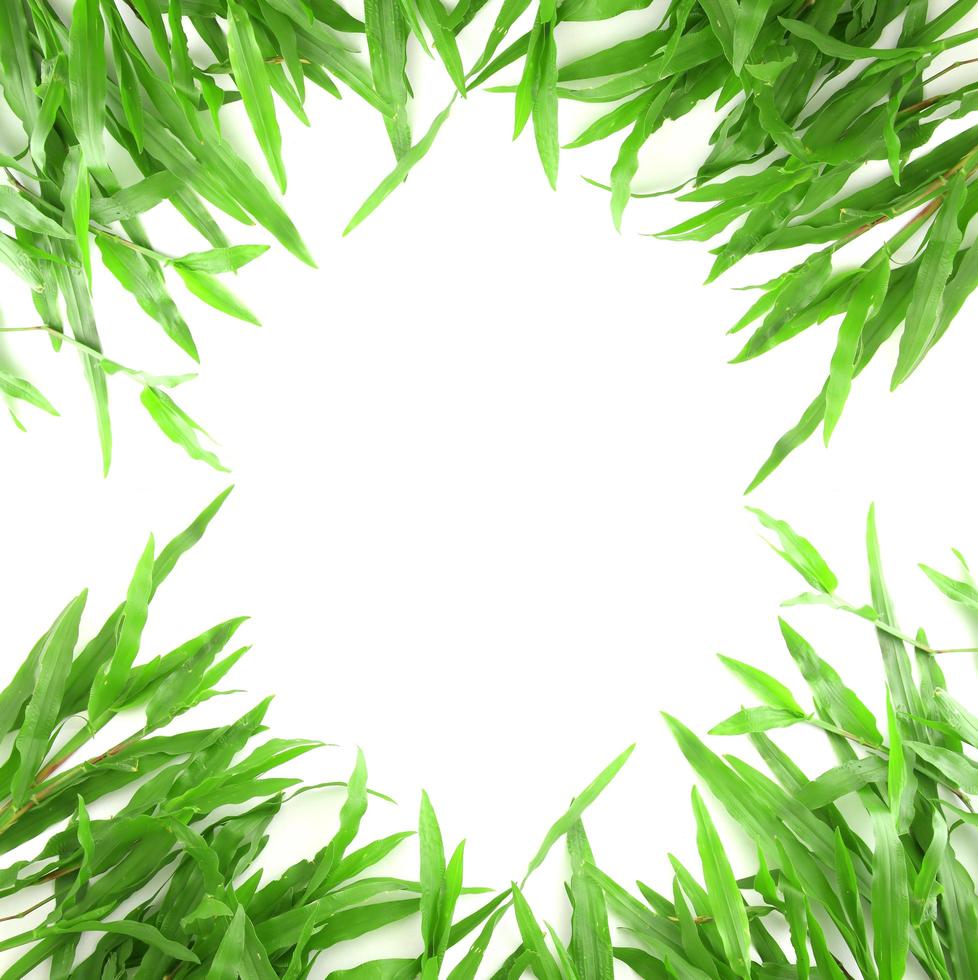 Grass frame with space for text photo