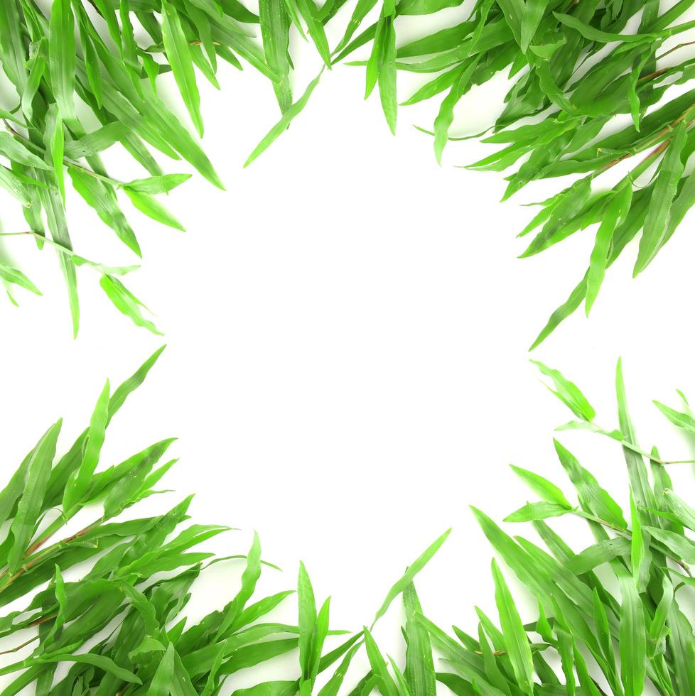 Grass frame with space for text photo