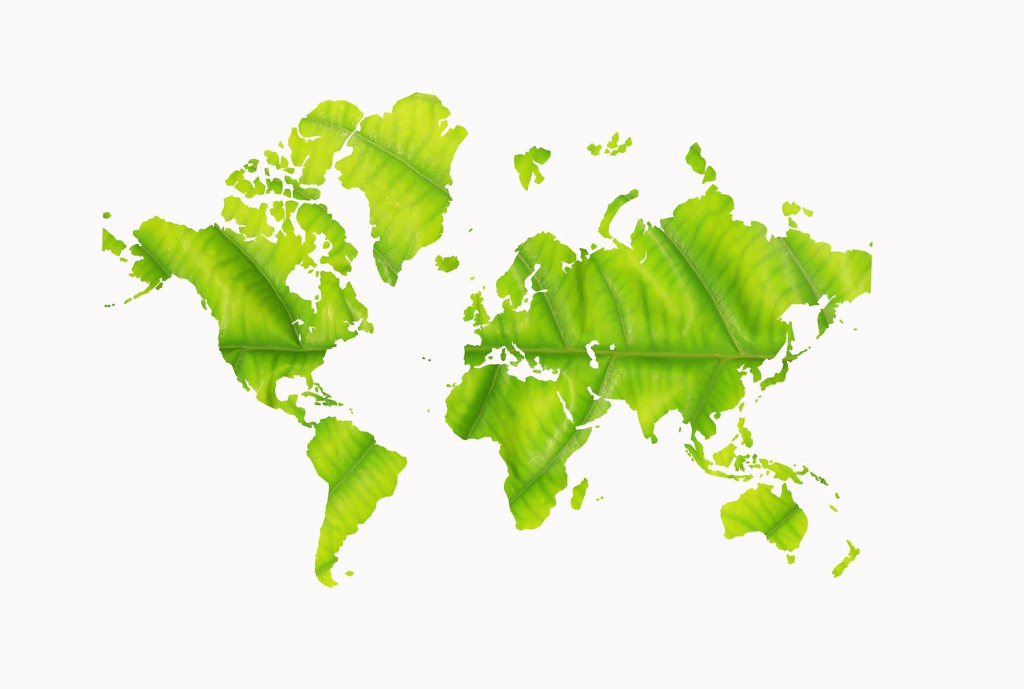 world map with leaf texture photo