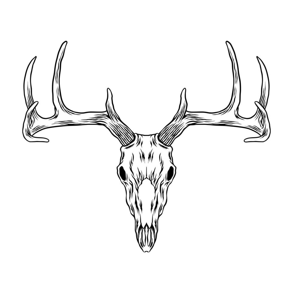 cráneo de cabeza de venado arte vectorial vector