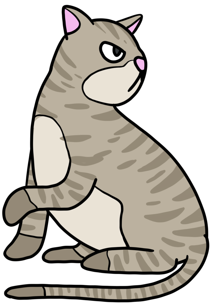cute kitten cat cartoon illustration png