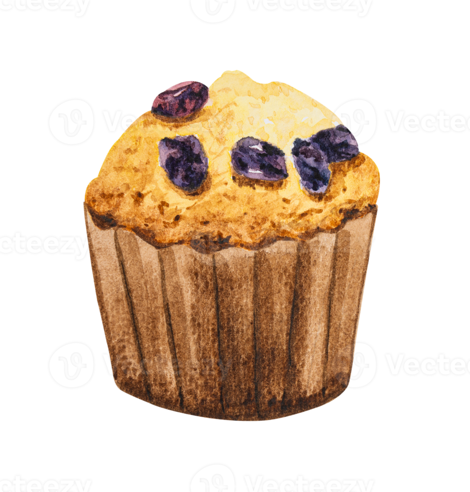 Muffin raisin hand drawn watercolor png