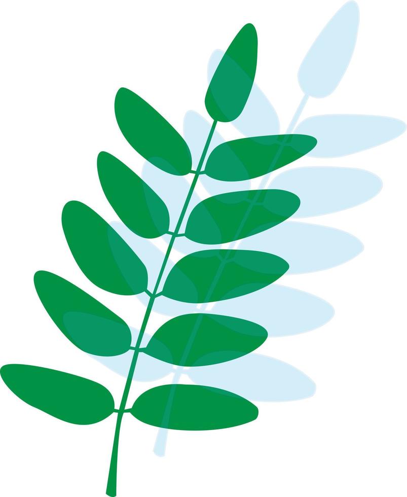 Rowan leaf vector illustration