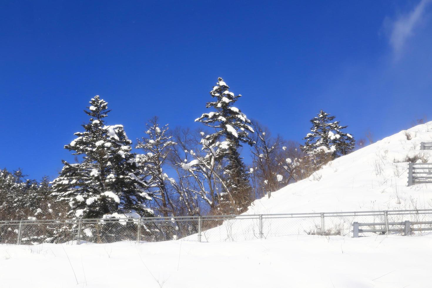 After the snow mountain photo
