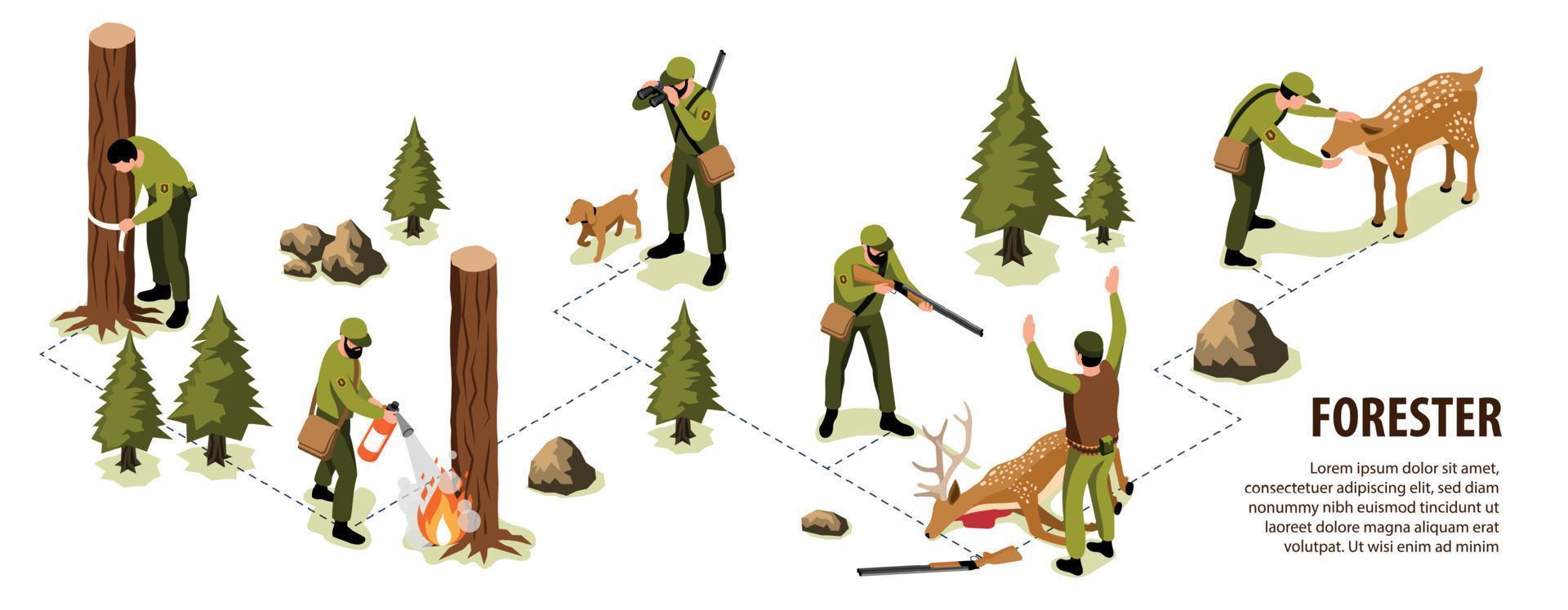 Isometric Forester Infographics vector