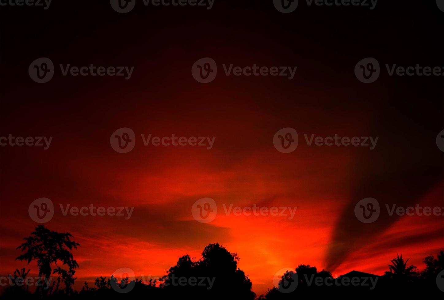 sunset, orange sky bush tree Silhouette black background nature photo