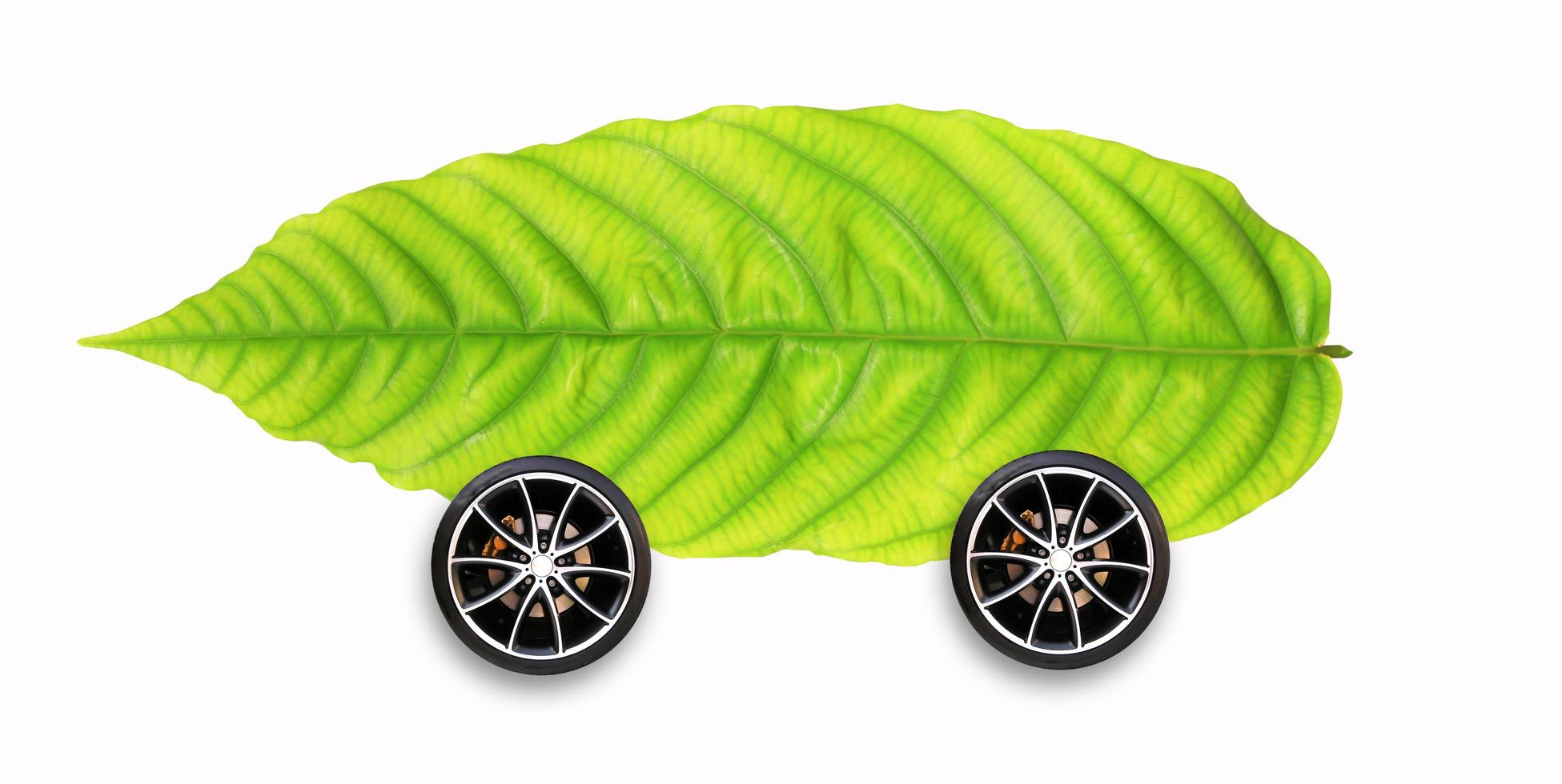 wheel and green leaf on white background isolated photo